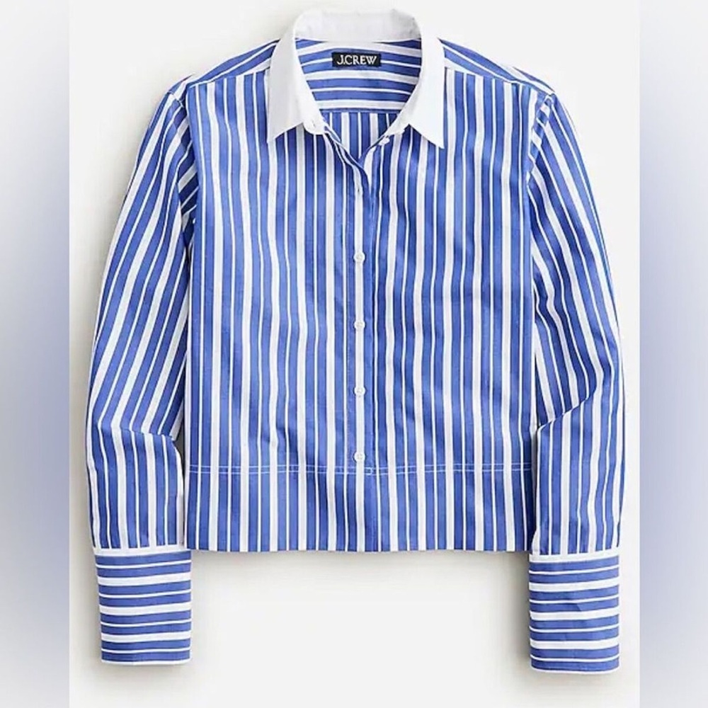 J. Crew Blue and White Striped Crop Top